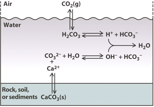 schéma chimique de la formation du calcaire